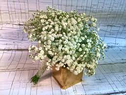 Whether you're planning an intimate elopement in the mountains or a beautiful sunset celebration by the lake, sage e imagery will be there to make your. Baby S Breath Wedding Bouquets In St Louis Mo Irene S Floral Design