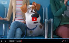 Harrison ford, from carpenter to star wars. The Secret Life Of Pets 2 Hd Ayamtulangkeras S Diary