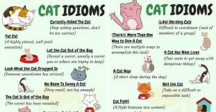 A cat got my tongue when a journalist approached me with a microphone and started to pose his questions. Cat Idioms 30 Useful Cat Idioms Sayings In English 7esl