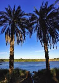 Palm Trees On Nile River Banks Soleb Northern Sudan أشجار النخيل علي ضفاف النيل سولب شمال السودان By Eric La Nile River River Bank The Beautiful Country