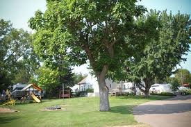 We did not find results for: Town Country Rv Park And Campground Savage Minnesota Us Parkadvisor