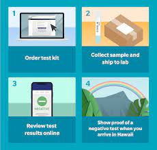 Follow the advice that you have received from your health care provider. Vault Health At Home Covid 19 Test Kit Hawaiian Airlines