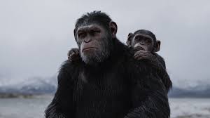Caesar And Cornelius Planet Of The Apes Planets Apes