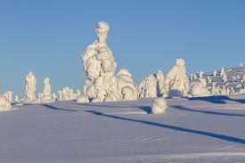 Lapland's living costs do not differ from rest of the finland in general but as we mentioned before, lapland is almost one third of finland and consists over 20 municipalities varying from 60 000 to 1 000 inhabitants. Finnland Lappland Winterlandschaft Kostenloses Foto Auf Pixabay
