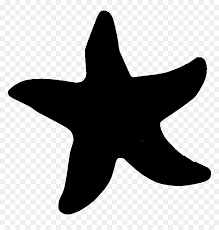 Starfish clipart black and white. Clipart Starfish Clipart Panda Free Clipart Images Black Sea Star Clipart Hd Png Download Vhv
