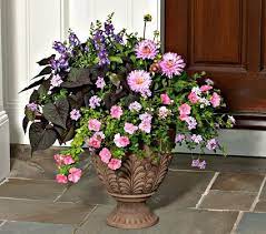 Afternoon Tea Annual Collection Flower Pots White Flower Farm Flower Pot Design