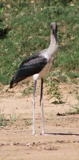 The Daly River experience.