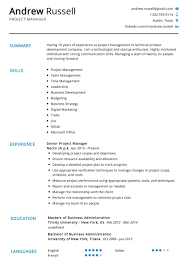 Successful resumes, as shown in the template, include a summary statement, skills, work history and education, getting. Project Manager Resume Example Writing Tips In 2020 Resumekraft