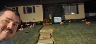 Flamingo flocking fundraiser for youth group