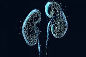 Download 3589 abstract kidney stock illustrations, vectors & clipart for. Most Americans Favor Compensation For Kidney Donors If It Leads To More Saved Lives Hub