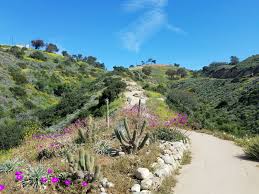Outdoor education tours for our trails with audio, video, and image content on biology, botany, birding, geology, local culture, and history. The Ventura Botanical Gardens Is Back Conejo Valley Guide Facebook