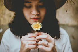 Person Holding Sunflower · Free Stock Photo