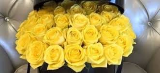 Sebenarnya, bunga ros mempunyai pelbagai warna yang mengandungi maksud tersirat. Maksud Di Sebalik Warna Dan Jumlah Tangkai Bunga Ros