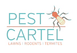 In thane, is an innovative pest control solutions provider with an edge. The Pest Cartel Central Florida Pest Control