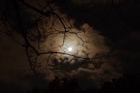 Image result for pics of darkness growing