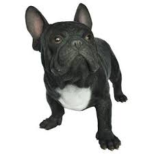 Black White And Brown French Bulldog Hi Line Gift Ltd French Bulldog Figurine Wayfair In 2020 Bulldog Statue French Bulldog Dog Bulldog Figurine