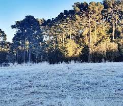 Elisa fogliato (@elisafogliato) has created a short video on tiktok with music som original. Frio E Geada No Sul Climatempo
