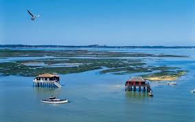 Viree Malin Bassin D Arcachon Arcachon Bassin