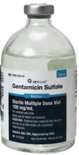 Image result for Gentamicin