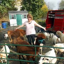 Our petting zoo is different. Jack S Petting Pony Farm Zoos 130 Boonton Ave Kinnelon Nj Phone Number Yelp