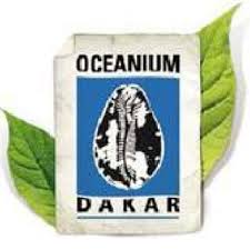 Image result for Xysmalobium sessile