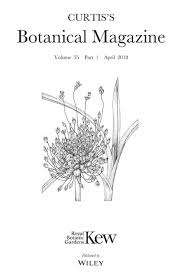 Image result for Cyrtanthus rhodesianus