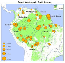 long term decline of the amazon carbon