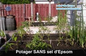 Sel d'epsom, comment l'utiliser et où l'acheter? Voici Pourquoi J Utilise Du Sel D Epsom Dans Mon Jardin Et Mon Potager