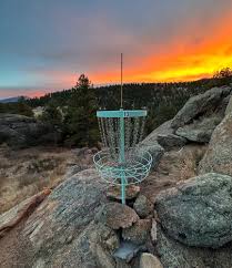 Image result for disc golf