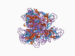 Image result for Andexxa