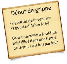 Soigner Une Grippe Avec Les Huiles Essentielles Huiles Essentielles Aromatherapie Comment Soigner Une Gastro Comment Soigner Soigner Une Grippe