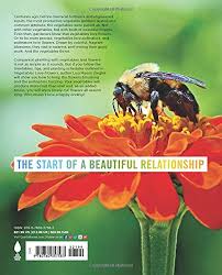 Learn when to plant some of the most popular annuals, perennials, and bulbs, including when to start seeds and move young plants outdoors. Ziegler L Vegetables Love Flowers Companion Planting For Beauty And Bounty Ziegler Lisa Mason Amazon De Bucher