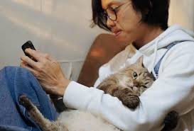 Perayaan ini diinisiasi komunitas international fund for animal welfare (ifaw) untuk memperingati persahabatan manusia dengan anak bulu berkaki empat itu. Fde Tzzig280em