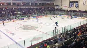 video watch as elmira enforcers host nypd in exhibition