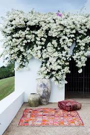 Roberta Boujad Bougainvillea Outdoor Gardens White Gardens