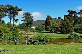 San Francisco Botanical Garden An Urban Oasis Botanical Gardens Amazing Gardens Urban Oasis