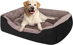 Magic dog super soft extra large dog bed orthopedic pet beds 47 inch jumbo washable anti slip dog sleeping mattress with removable cover, light grey xl 4.8 out of 5 stars 387 $55.99 $ 55. Amazon Com Puppbudd Pet Dog Bed For Medium Dogs Xxl Large For Large Dogs Dog Bed With Machine Washable Comfortable And Safety For Medium And Large Dogs Or Multiple Kitchen Dining