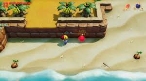 By this point in the game, you should have plenty of money. Boomerang Links Awakening Walkthrough And Guides Zelda Universe
