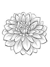 Super Tattoo Shoulder Dahlia 27 Ideas Dahlia Flower Tattoos Flower Drawing Dahlia Flower