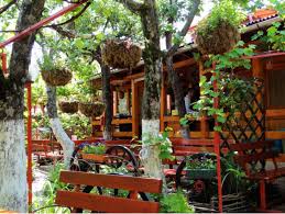 Terasa carul cu flori strada luptei, nr. Caru U Flori