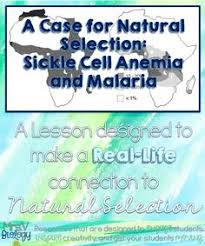 That's why we have entry tests for all applicants who want to work for us. 39 Evolution Ideas Natural Selection Teaching Science Evolution