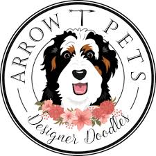 They will be ckc registered. Arrow T Pets Designer Doodles Breeder