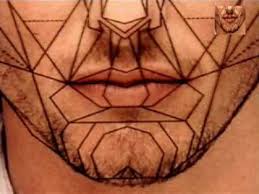 Résultat de recherche d'images pour "nombre d'or corps humain"