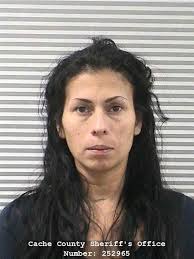 Three arrested in Logan drug raid