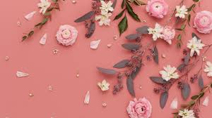 We hope it will make it easy to get the wallpapers you want. Pink Flowers On The Coral Background Color Hd Wallpaper