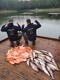Rowley said dolberg lake is a great place to find rainbow trout, tiger trout and brown trout. Ein Echt Cooles Bild Von Angelpark Zur Grafenmuhle Facebook
