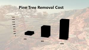 3 what is included in the price of tree removal? Pine Tree Removal Costs 2019