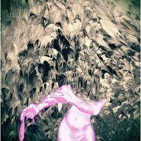 Larry Shine: album, canzoni, concerti