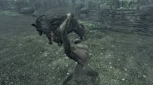 Post 1161311: Argonian Skeever Skyrim The_Elder_Scrolls