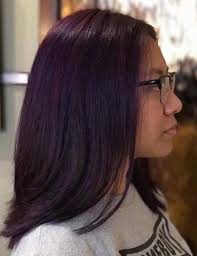 100% premium quality human hair. 20 Pretty Purple Highlights Ideas For Dark Hair